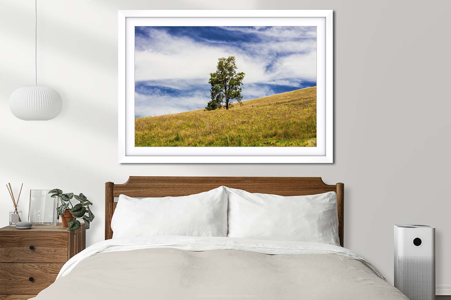 Lonely Tree