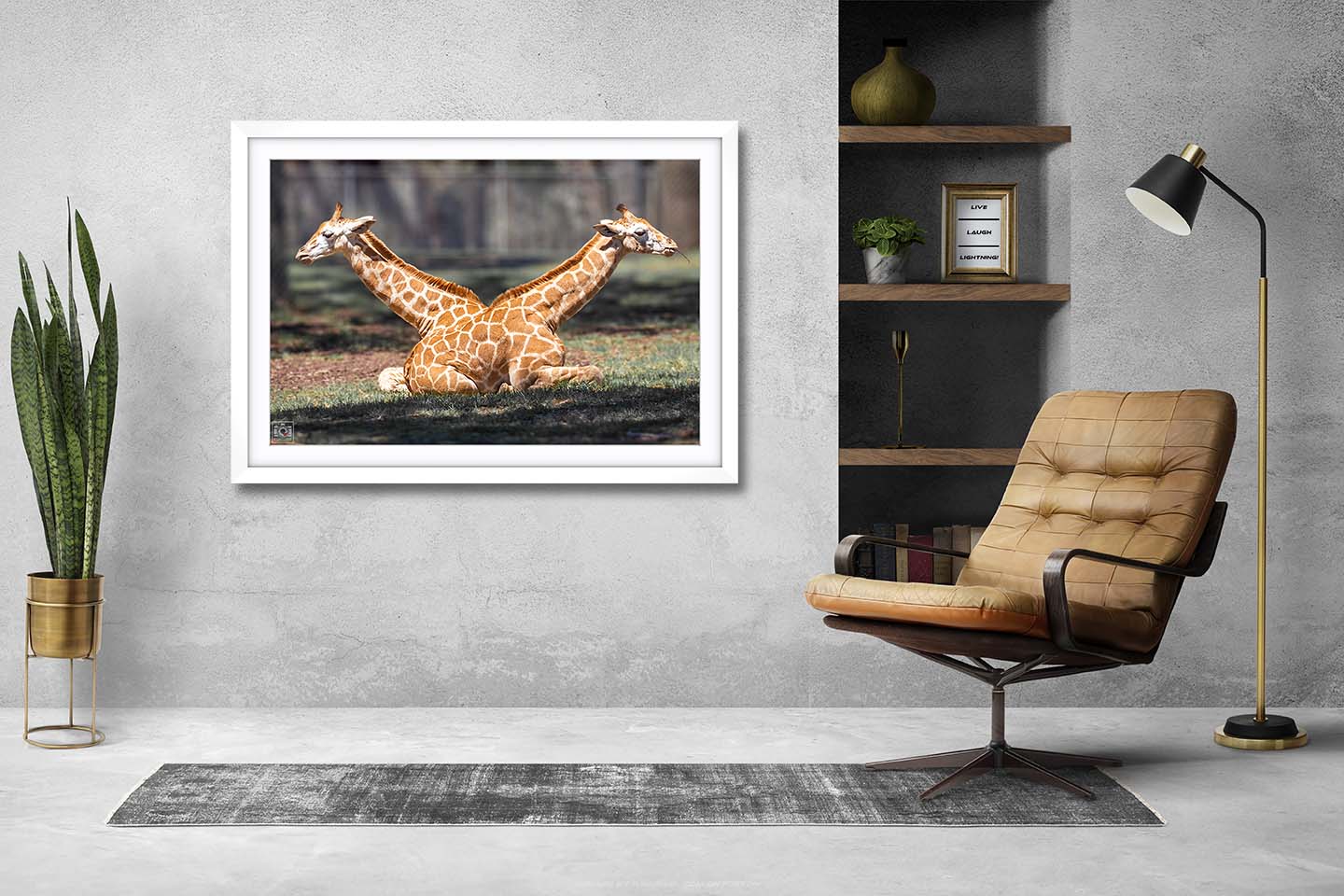 Siamese Giraffe