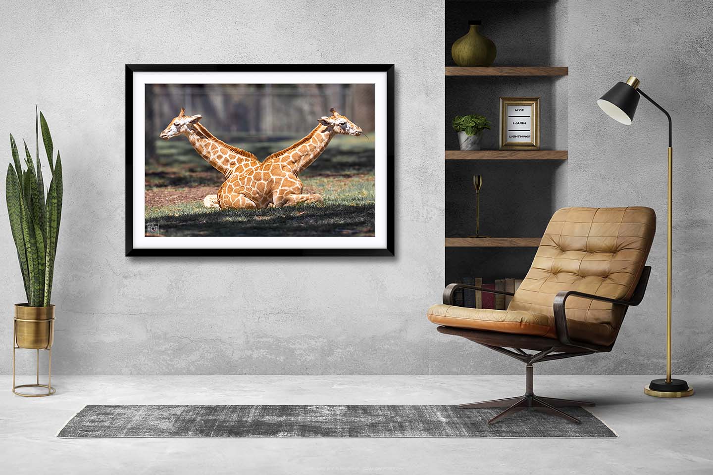 Siamese Giraffe