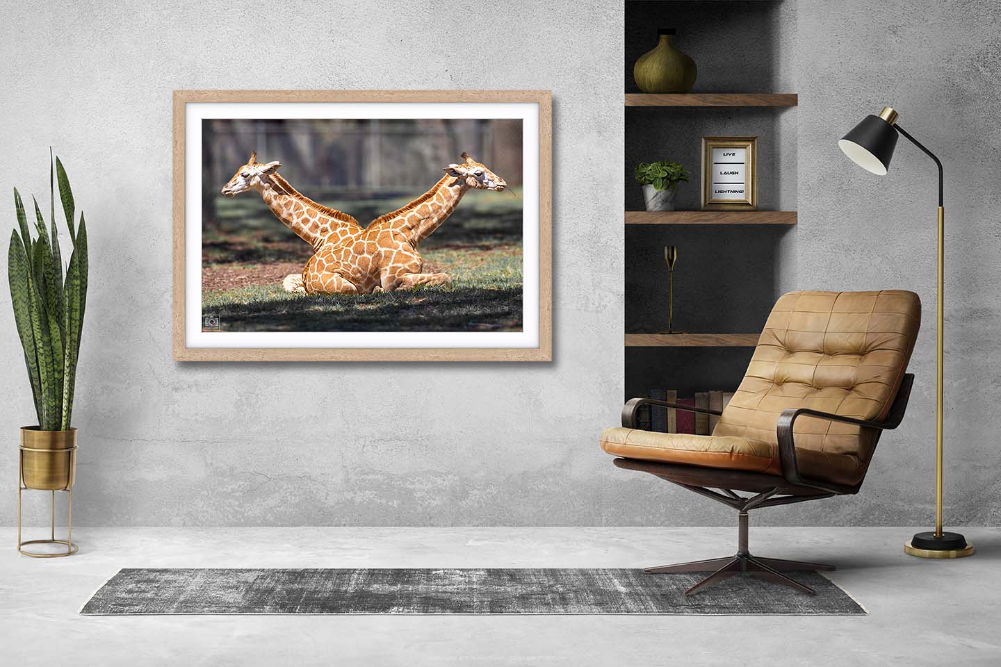 Siamese Giraffe