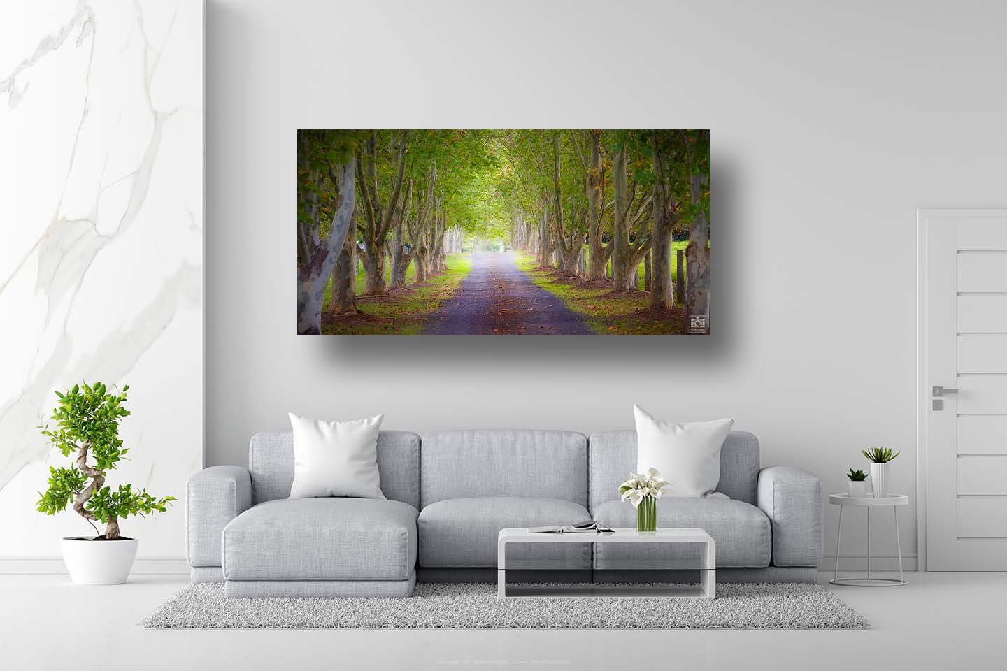 Tree Lined Driveway