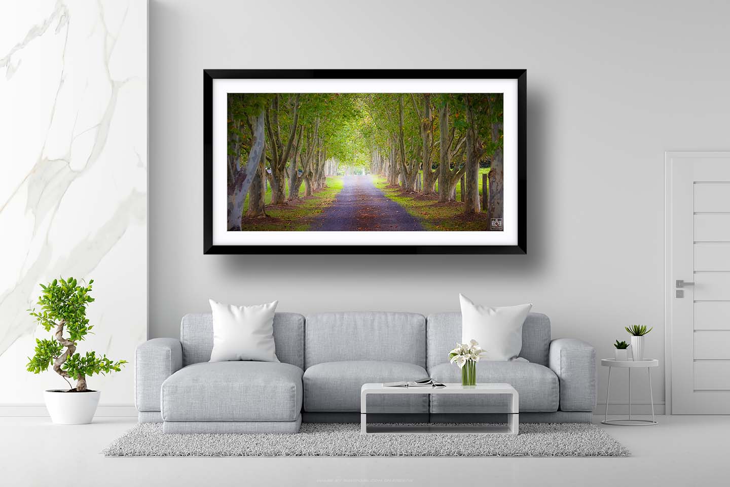 Tree Lined Driveway