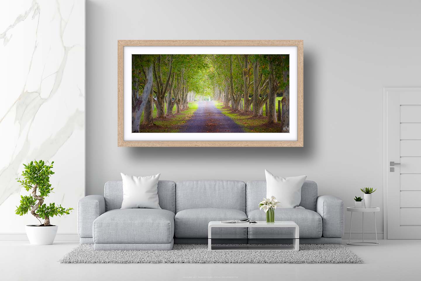 Tree Lined Driveway