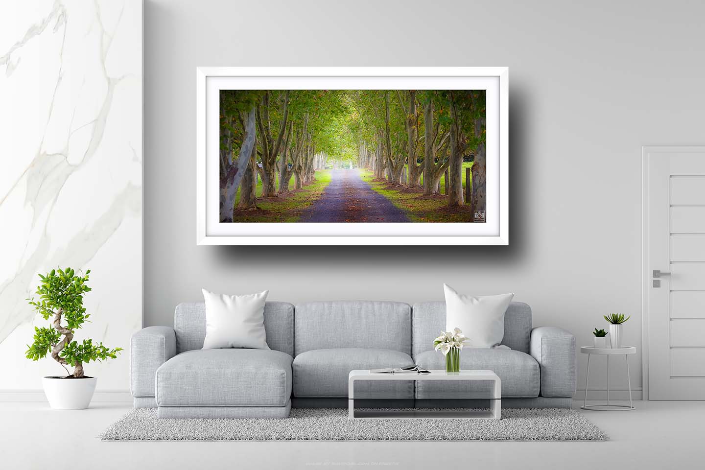 Tree Lined Driveway