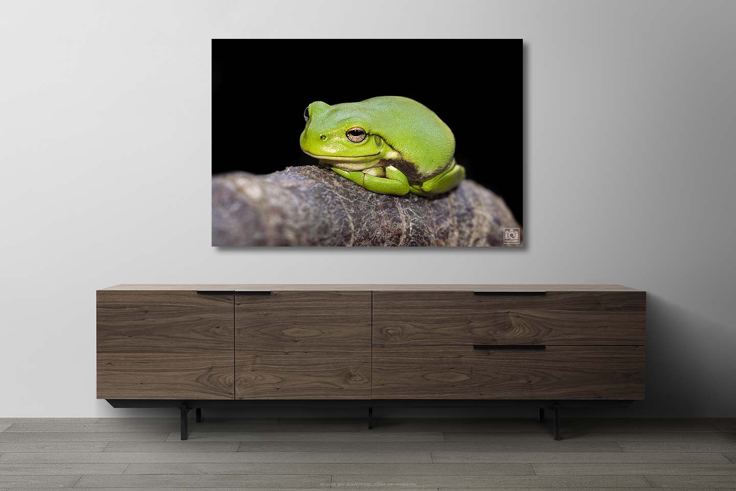 Grant the Green Tree Frog