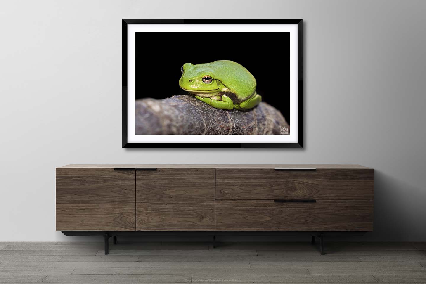 Grant the Green Tree Frog