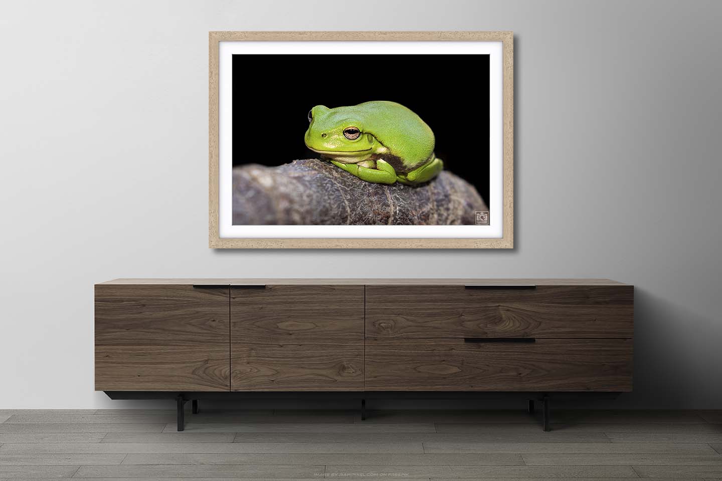 Grant the Green Tree Frog