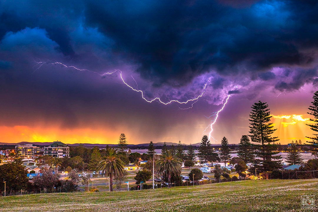 Fury over Forster